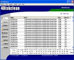 4Diskclean 2008 screenshot