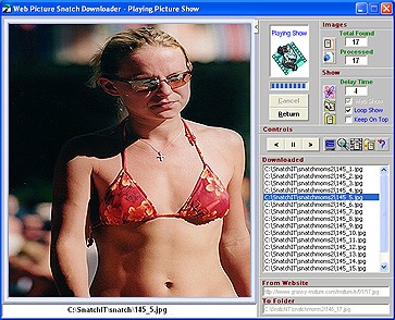 A Web Picture Snatch Internet Ripper 2.4 screenshot