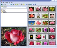 Able Image Browser 2.0.14.14 screenshot