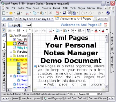 Aml Pages 9.93 Build 2843 screenshot