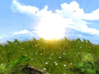 Butterflies 5.07 screenshot