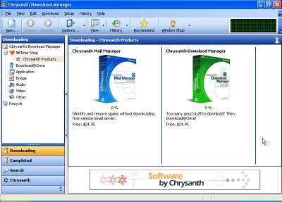 Chrysanth Download Manager 1.6 screenshot