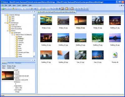 DisCat 2.0 screenshot