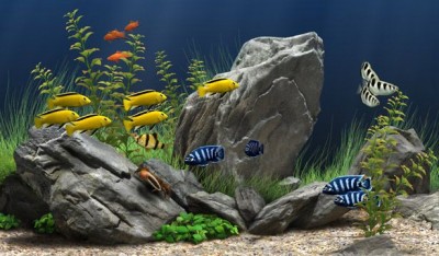 Dream Aquarium 1.097 screenshot