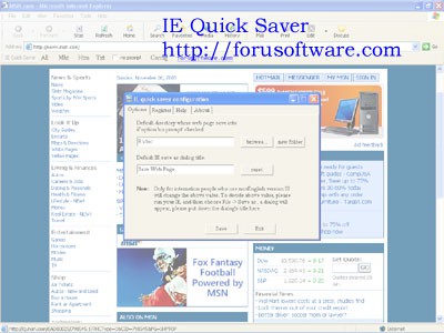 IE Quick Saver 1.3 screenshot