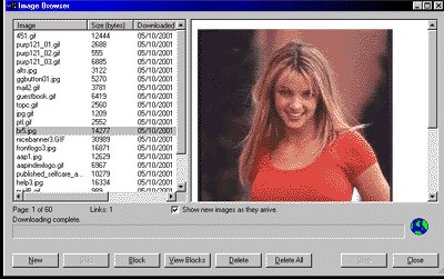ImageGrabDummy 2.1 screenshot