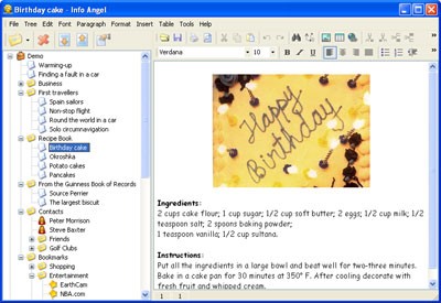 Info Angel Professional 3.2 screenshot