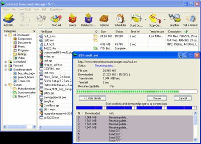 Internet Download Manager 6.42.7 screenshot