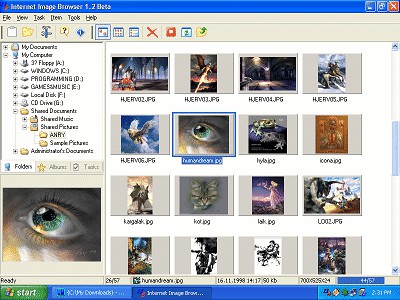 Internet Image Browser 1.2 screenshot