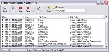 Naevius Directory Watcher 1.0 screenshot