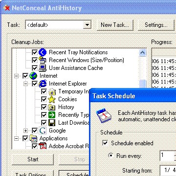 NetConceal AntiHistory 1.0.004 screenshot