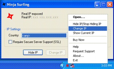 Ninja Surfing Hide IP 1.2.35.1 screenshot