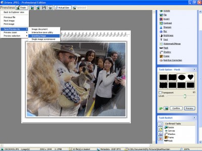 Oriens JPEG Professional 1.3 screenshot