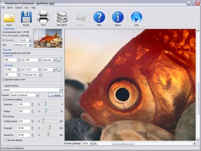 PhotoZoom Professional 1.2.8 screenshot