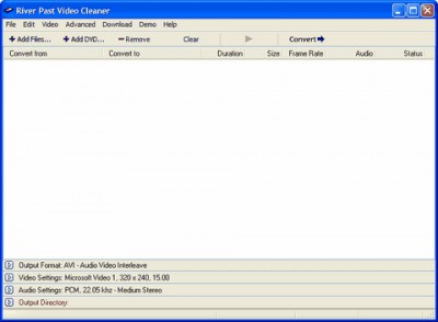 River Past Video Cleaner 7.8 screenshot