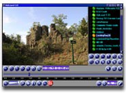 VidLizard 1.25 screenshot