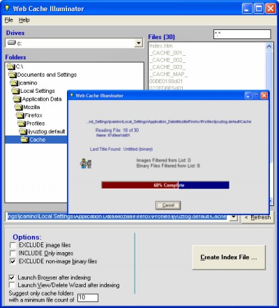 Web Cache Illuminator 5.3.5.052 screenshot