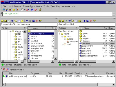 WebMaster FTP 1.1 screenshot