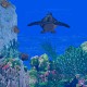 3D Sea Turtle Paradise 1.0 Screenshot