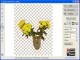 Background Remover 3.2 Screenshot