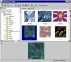 CCViewer 5.1 Screenshot