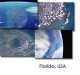 Earth from Space - Florida Screen Saver 1.0 Screenshot