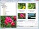 Fast Photo Renamer 4.25 Screenshot