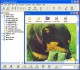 FileQuest XP Gold 5.5 Screenshot