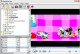 Flash Player Pro 6.02 Screenshot