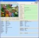 GOGO Exif Image Viewer ActiveX Control 2.1 Screenshot