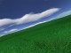 Green Fields 3D Screensaver 1.6 Screenshot