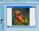 Image InDepth 1.2.0.0