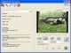 MingSoft 3GP Video Converter Pro 1.0.3