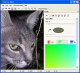 Pet Eye Pilot 3.7.4 Screenshot