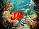 Tropical Fish 3D Screensaver 1.3 Screenshot