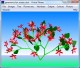 Virtual Flower 2.1