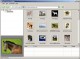 Web Pictures Grabber 2.00 Screenshot