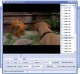 YASA DVD to 3GP Converter 2.6.82.284 Screenshot